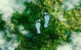 The Carbon Footprint of Fashion: Can the Industry Truly Go Green?